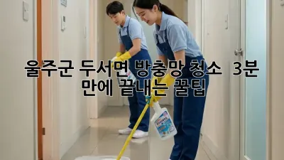 울주군 두서면 방충망 청소 ✨ 3분 만에 끝내는 꿀팁!