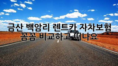 금산 백암리 렌트카 자차보험, 꼼꼼 비교하고 떠나요! 🚗💨